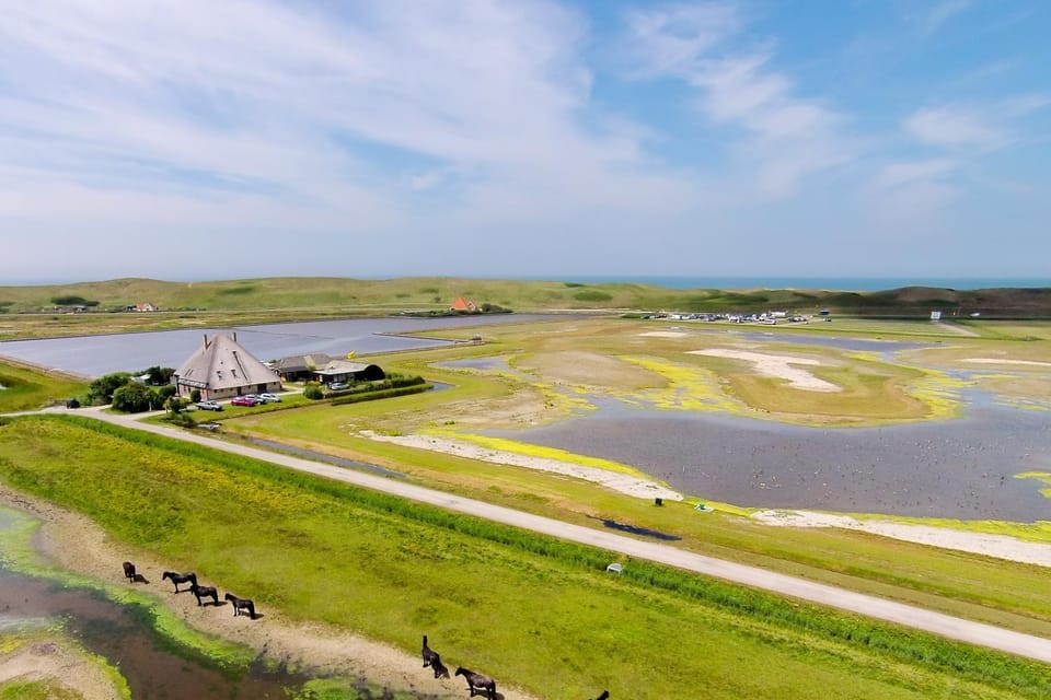 Natural landscape
