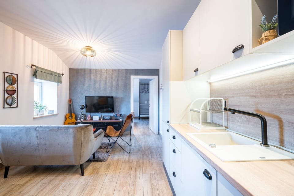 Unique city center Apartments Gran Fenice with free garage parking and roof terrace in one of the apartments Apartment in Rijeka