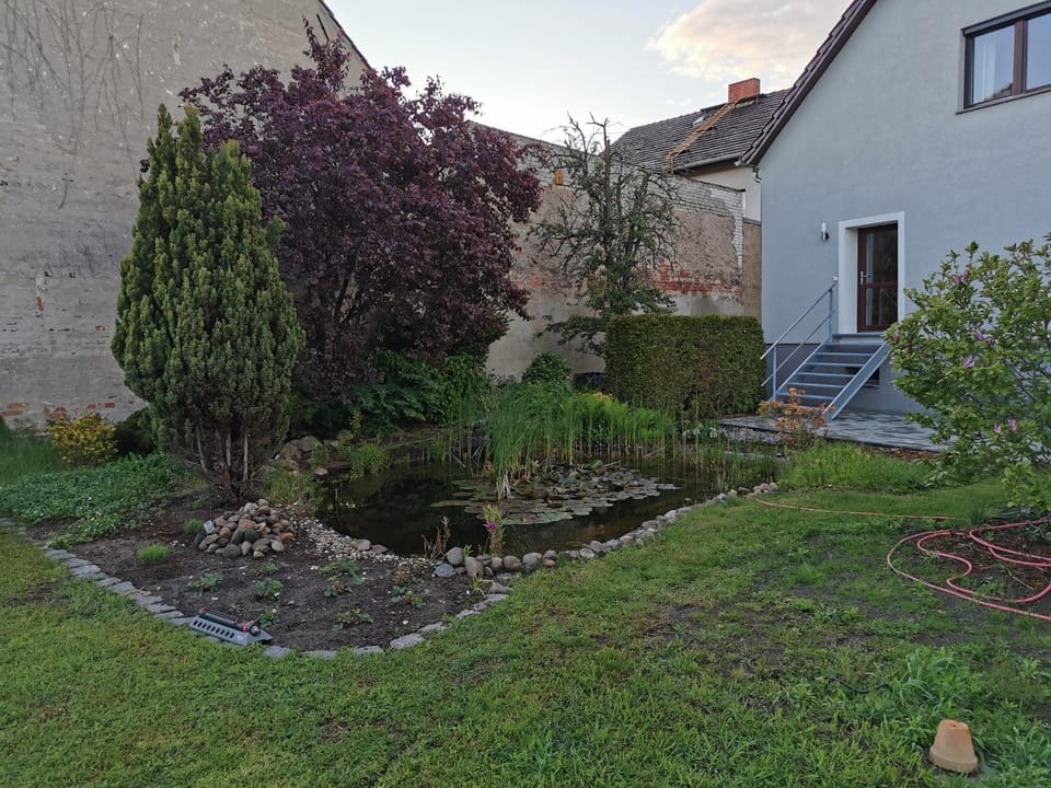 Property building, Garden, Garden view