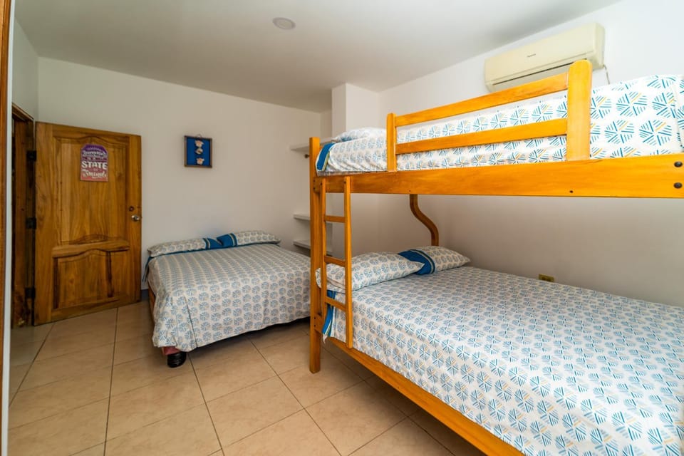 Bed, Photo of the whole room, Bedroom, bunk bed