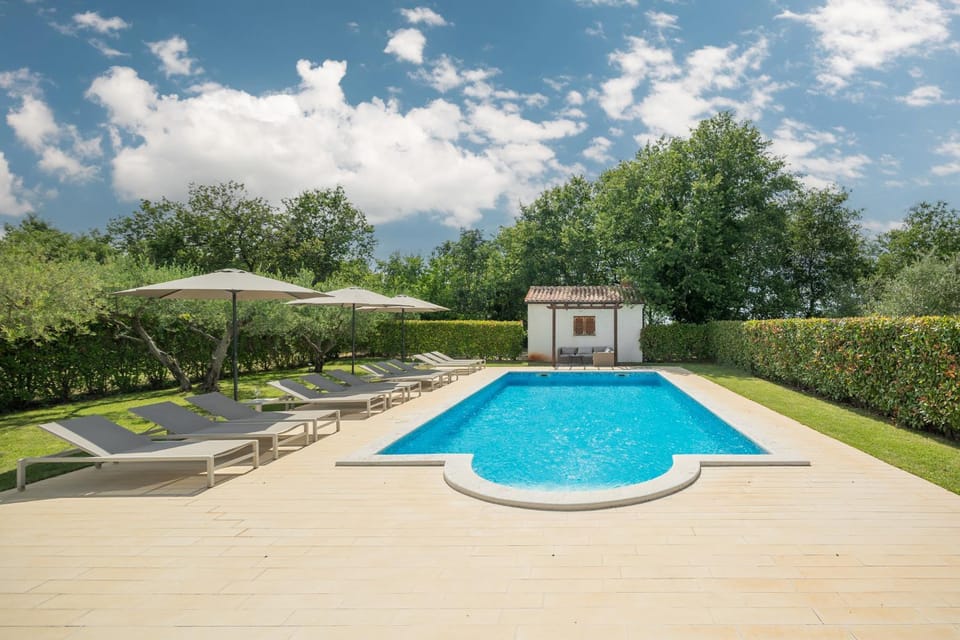 Garden, Pool view, Swimming pool, sunbed