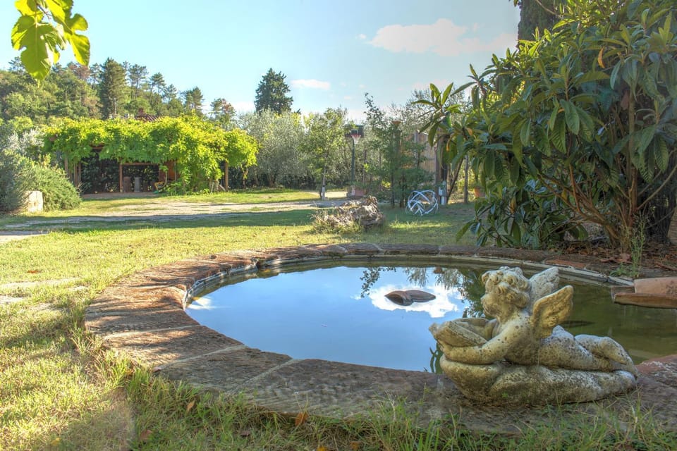 Garden, Garden view