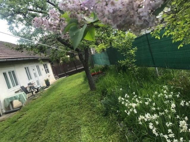 Casuta Sanatatii Bed and Breakfast in Romania