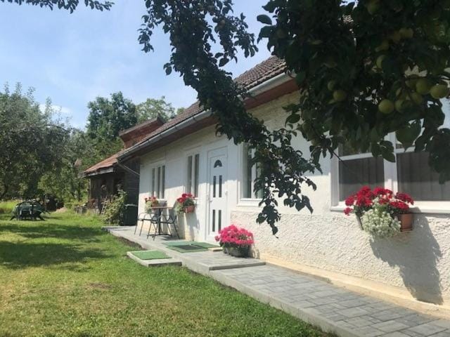 Casuta Sanatatii Bed and Breakfast in Romania