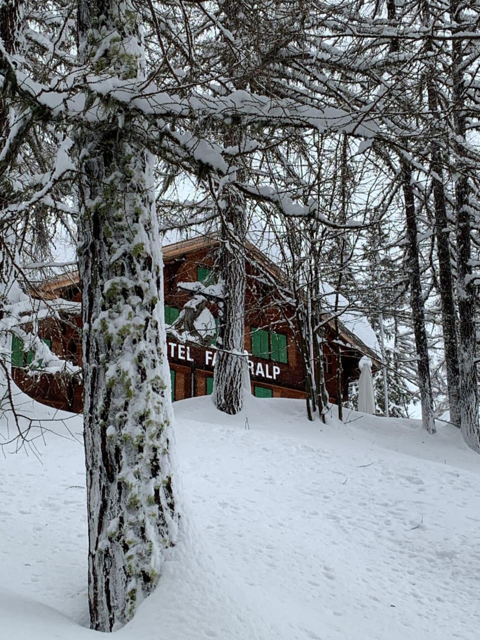 Property building, Winter