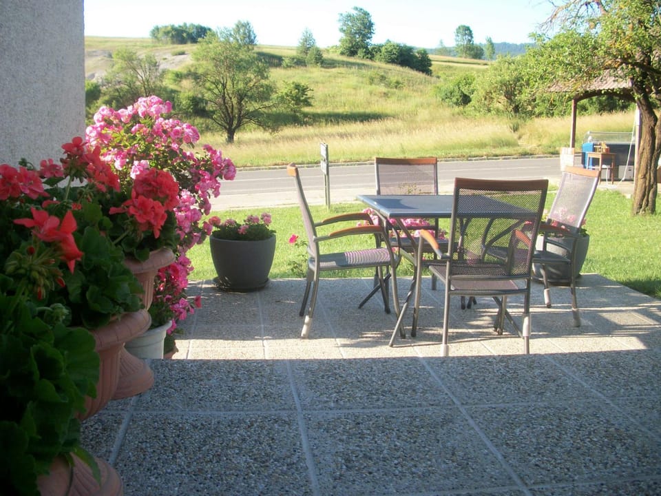 Garden view, Mountain view, Street view