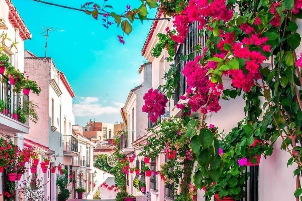 Neighbourhood
