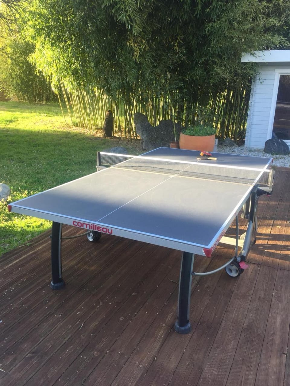 Table tennis, Table tennis