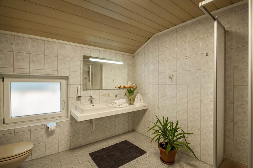 Bathroom, Living room