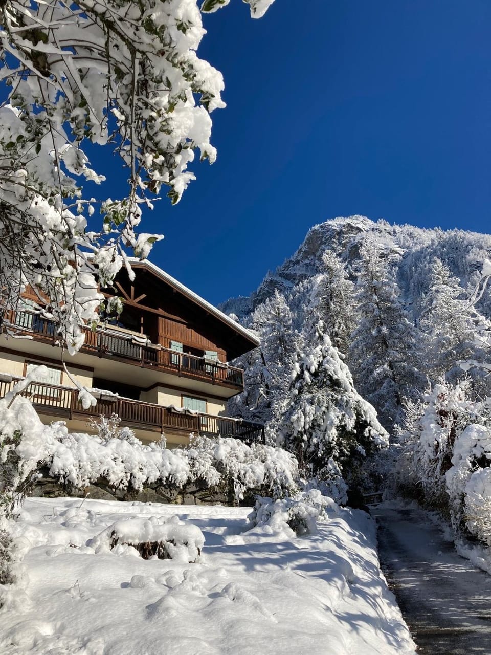 Chalet du grand cerf Chalet in Les Houches