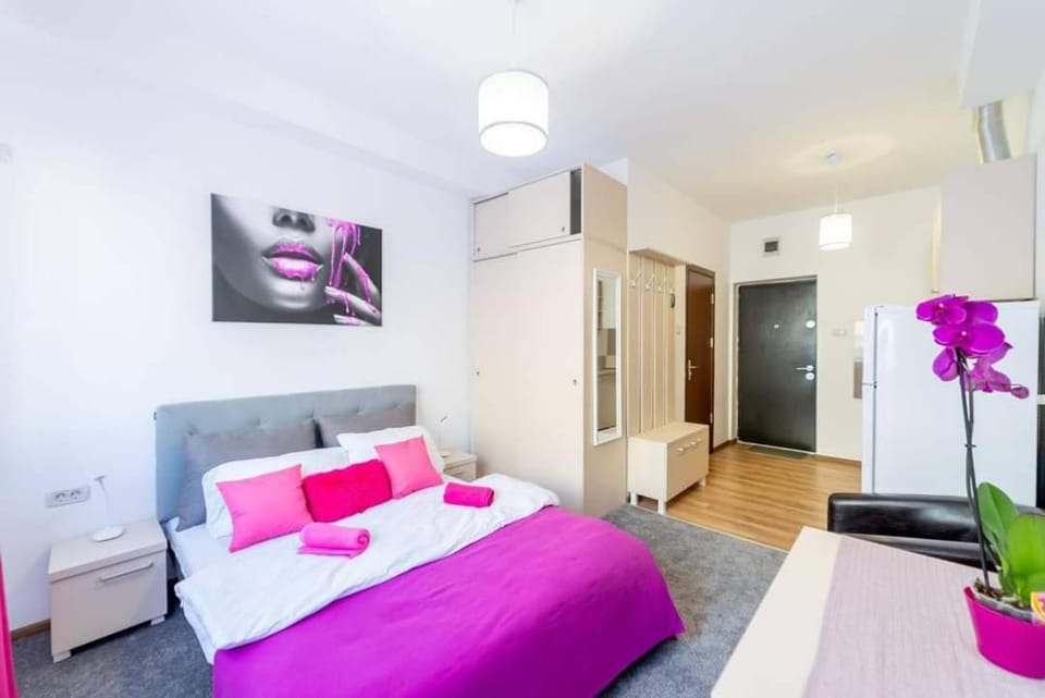 Studio Cristian Apartment in Vojvodina