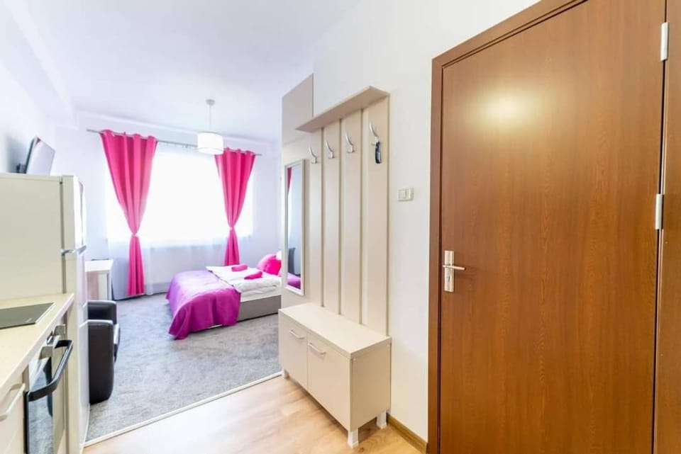 Studio Cristian Apartment in Vojvodina