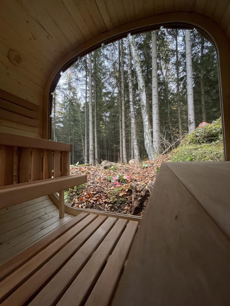 Sauna, VIP