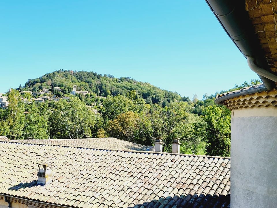 Château Emile Loubet - appartement Georges Clémenceau Apartment in Provence