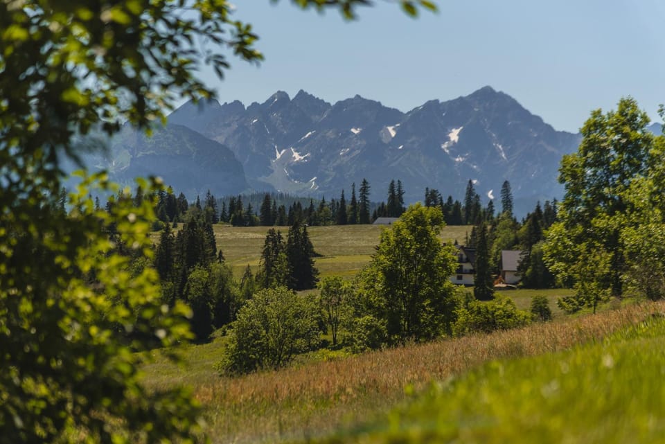 Mountain view