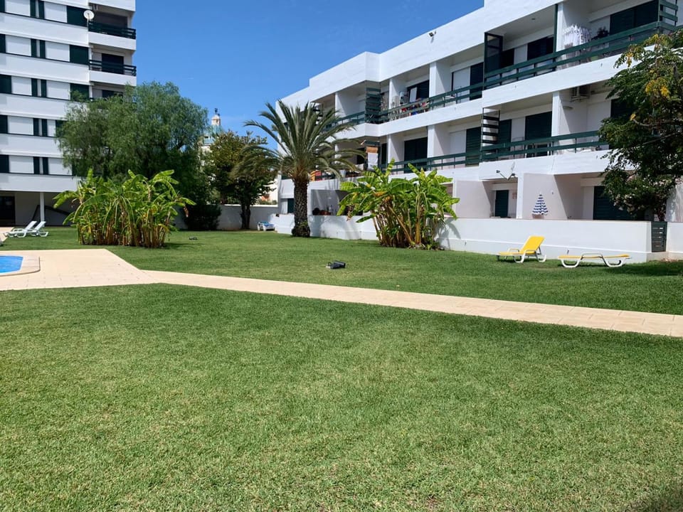 Property building, Garden, Swimming pool