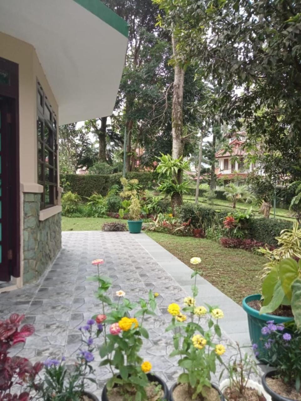 Garden view