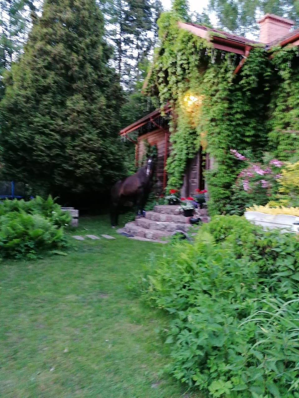 Property building, Garden