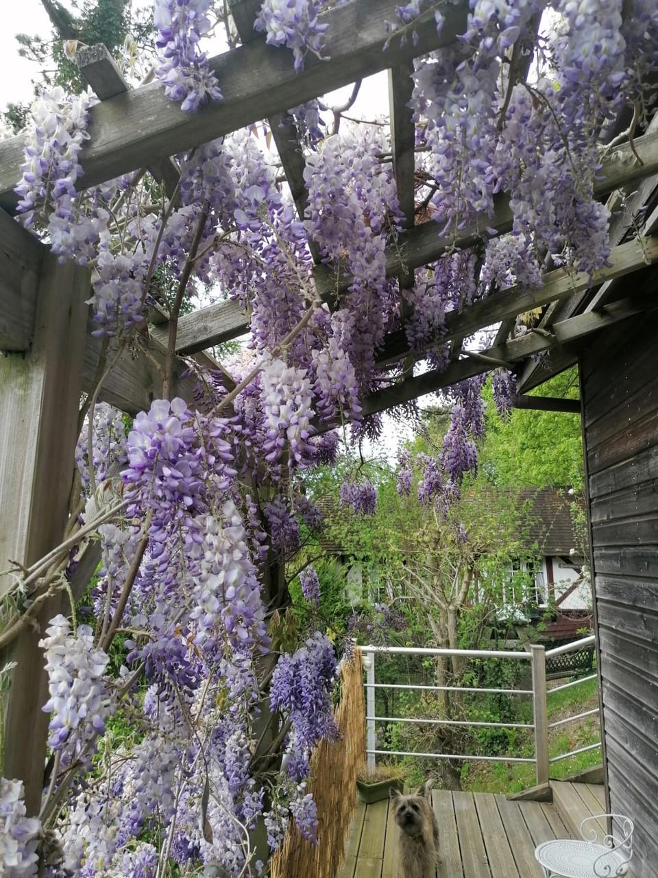 Sherwood Bed and Breakfast in Étretat