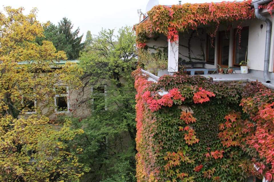 Facade/entrance, Autumn