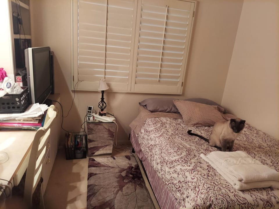 CATmosphere 2 Vacation rental in Silverado Ranch