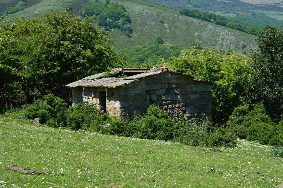 Natural landscape