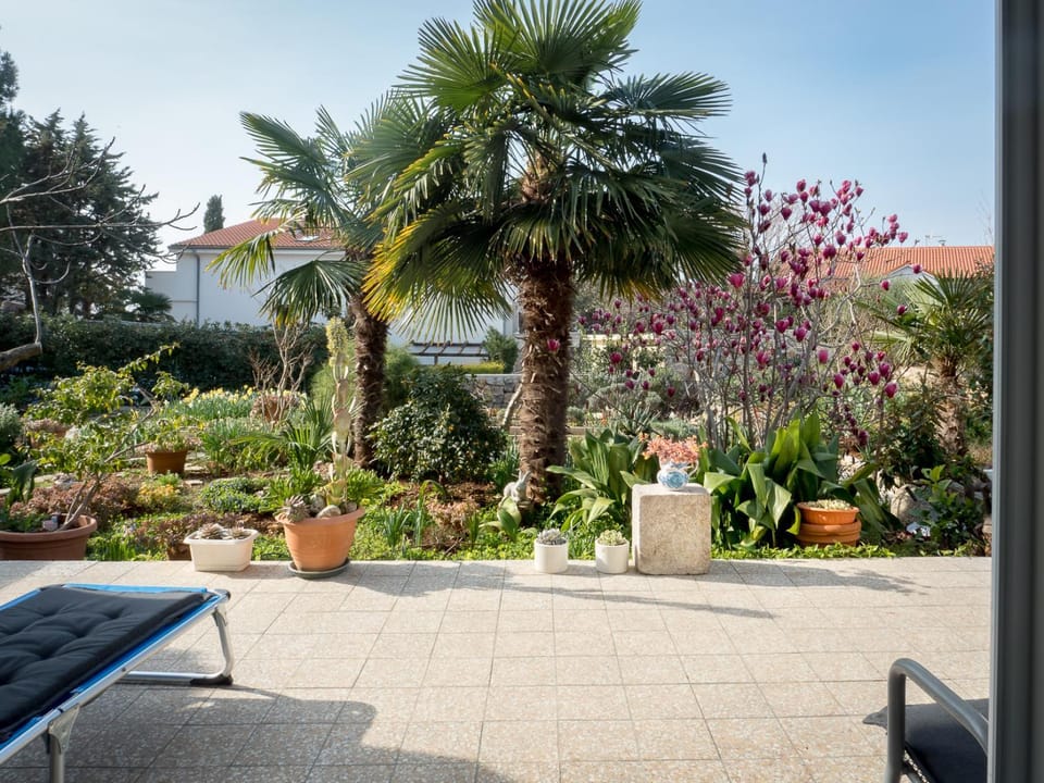 Patio, Garden