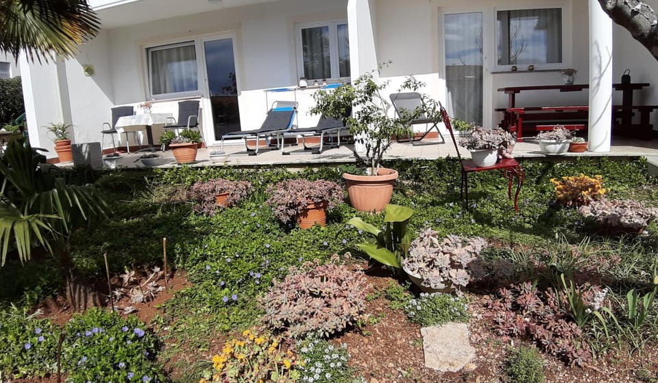 Patio, Garden
