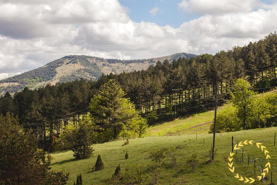 Vila Vela Goc Apartment in Serbia