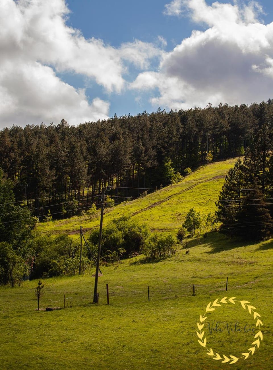 Vila Vela Goc Apartment in Serbia