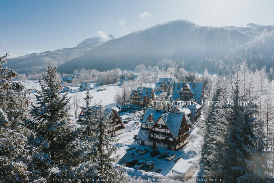 Property building, Facade/entrance, Natural landscape, Activities, Bird's eye view, Winter, Skiing, View (from property/room), Hiking, Garden view, Time of day