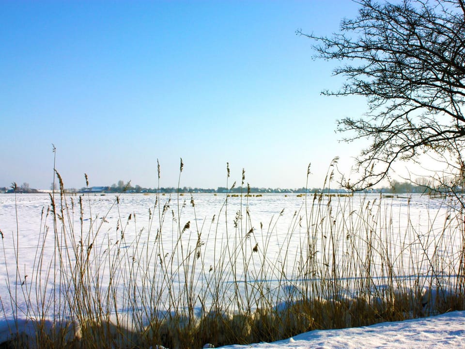 Neighbourhood, Natural landscape