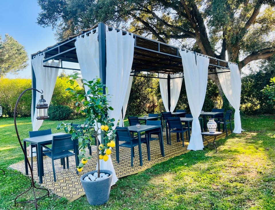 IL BORGHETTO di ANSEDONIA Apartment in Tuscany