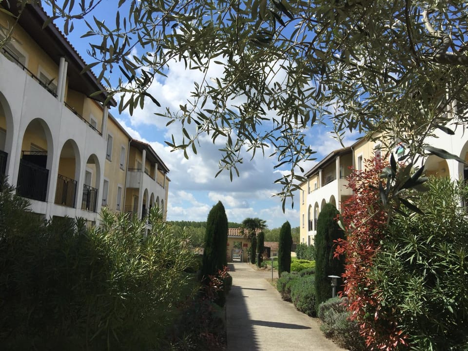 Les Capucins Apartment in Carcassonne