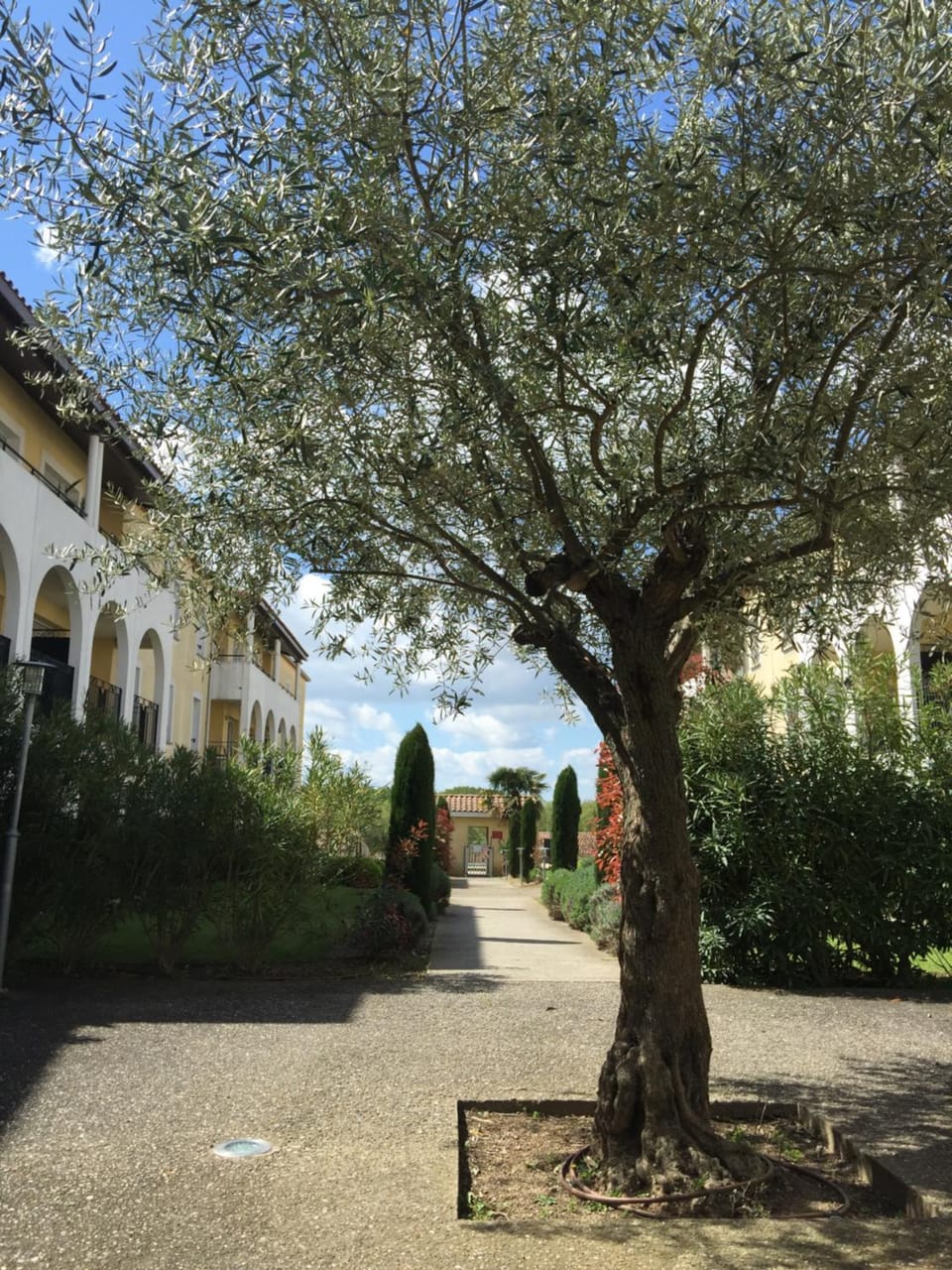 Les Capucins Apartment in Carcassonne