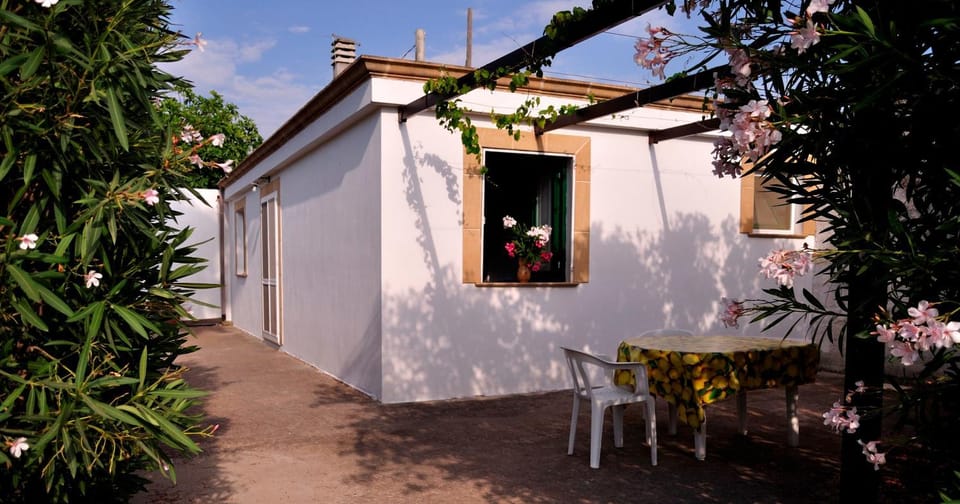 Property building, Patio, Garden view