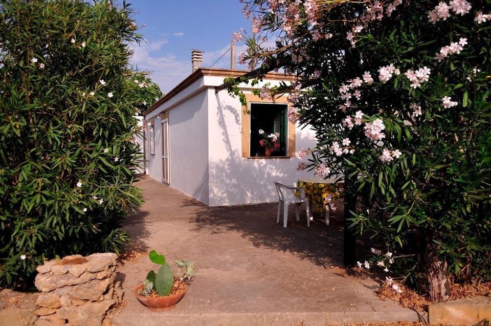 Property building, Garden view