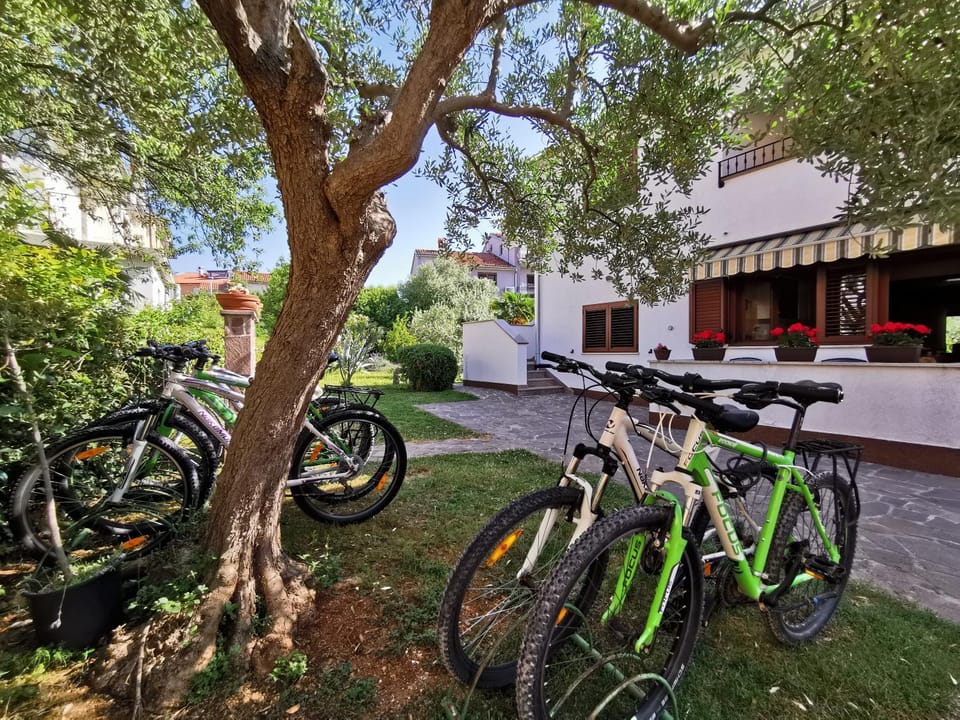 Apartments Medusa Apartment in Cademia ulica