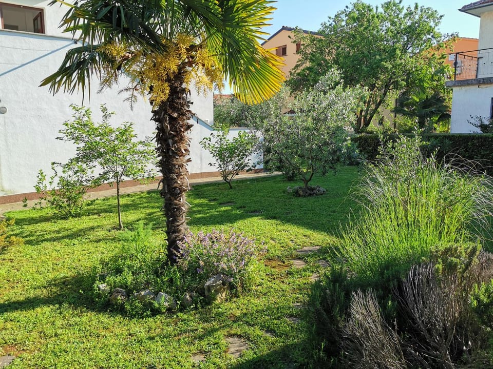 Apartments Medusa Apartment in Cademia ulica