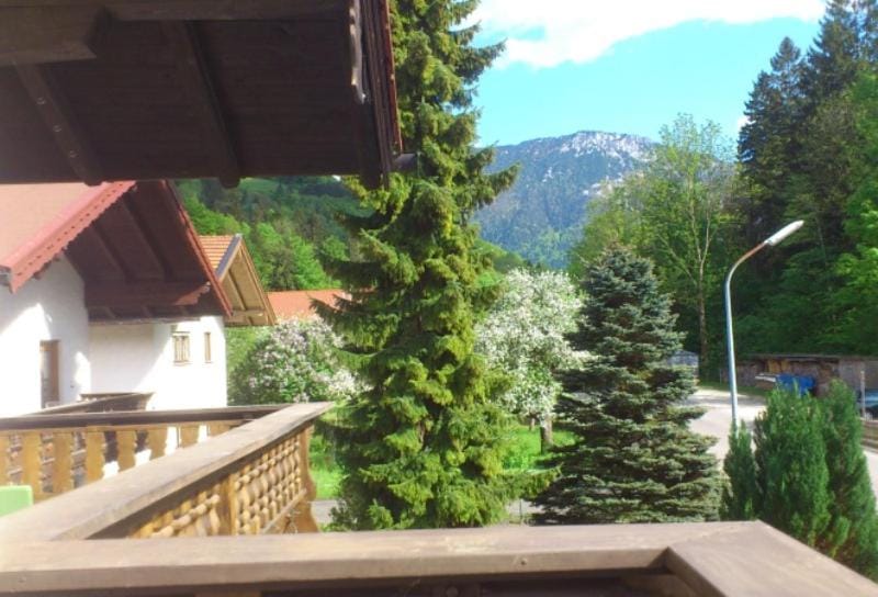 Haus Neuhäusl inkl. Chiemgaukarte Apartment in Ruhpolding