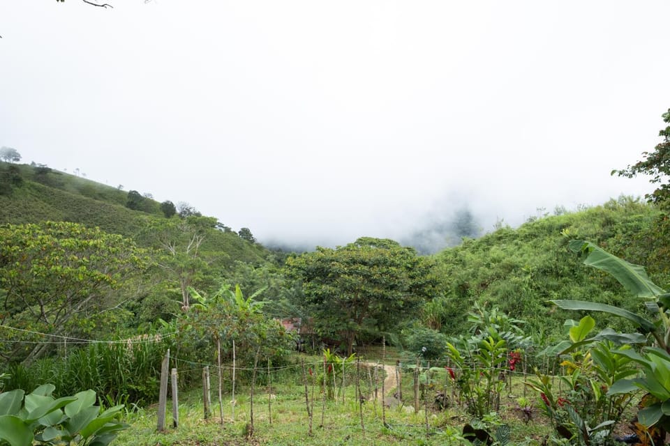 Paraiso de la sierra Country House in Magdalena, Colombia