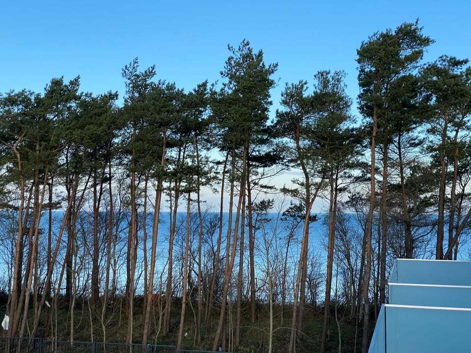 La Riva Mia Apartamenty Apartment in West Pomeranian Voivodeship, Poland