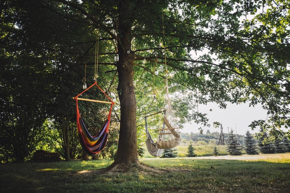 Natural landscape, Children play ground, Garden