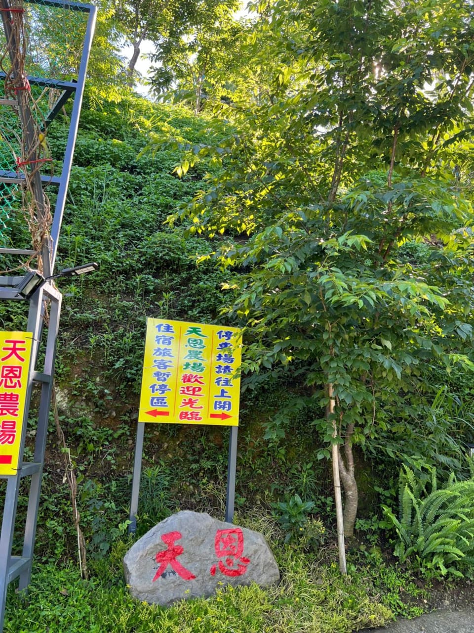 Tianen Farm Bed and Breakfast in Taiwan, Province of China