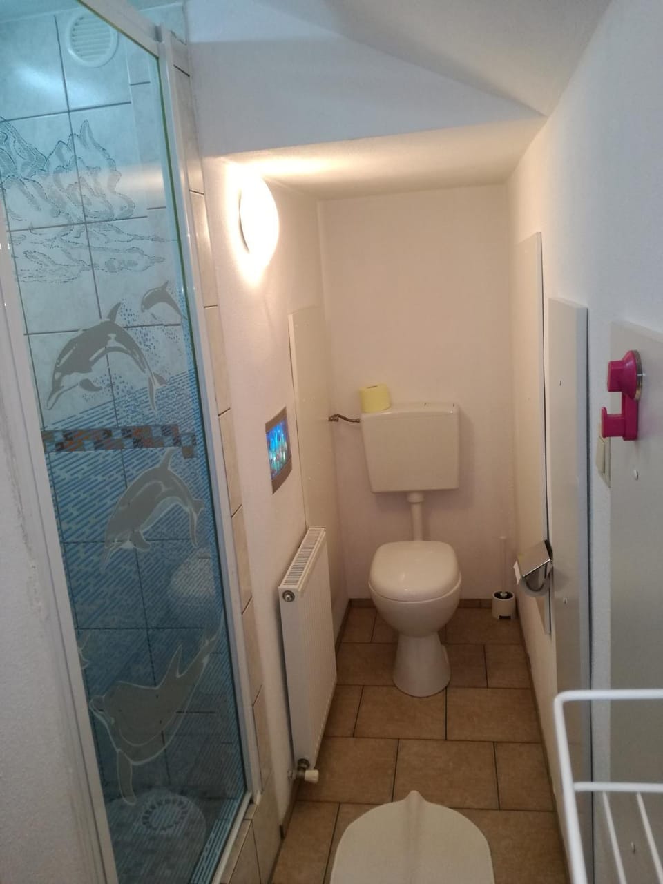Shower, Toilet