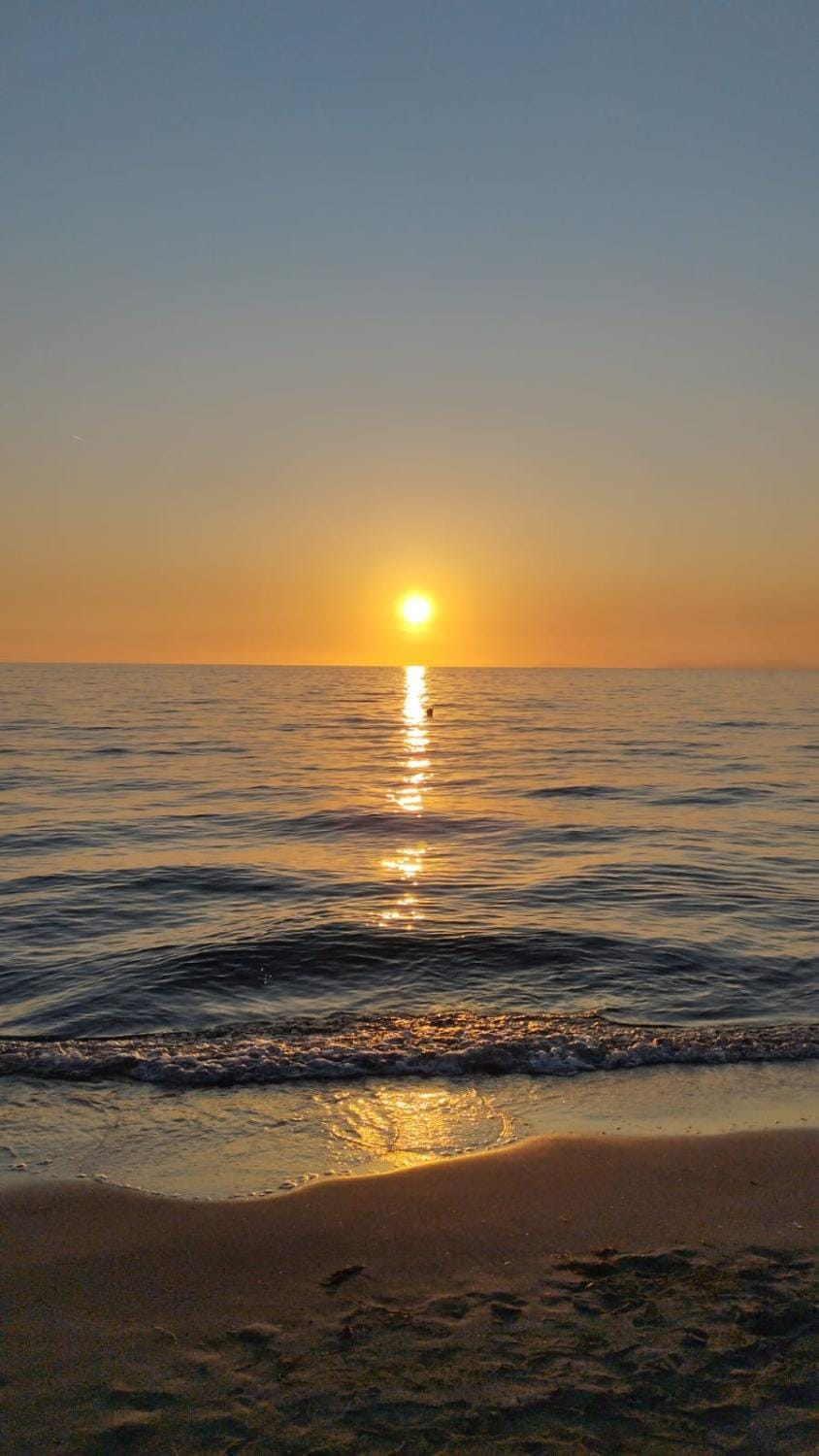 Natural landscape, Beach, Sunset