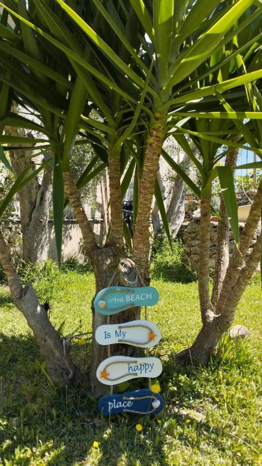 Property building, Garden, Garden view, Garden view