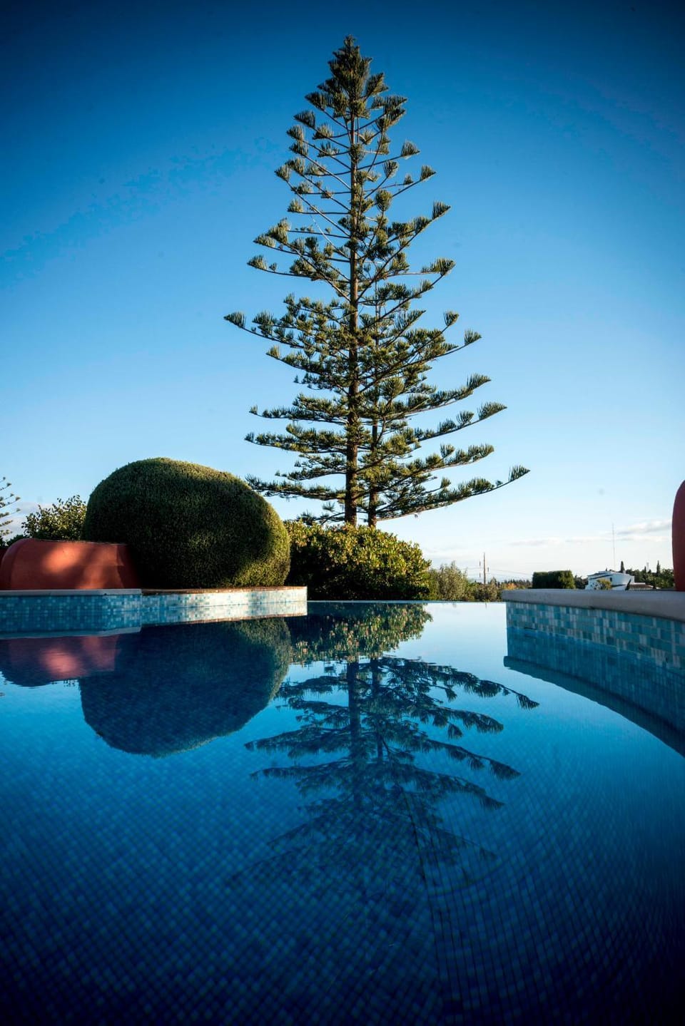 Garden, Swimming pool, Swimming pool, Sunrise, Sunset