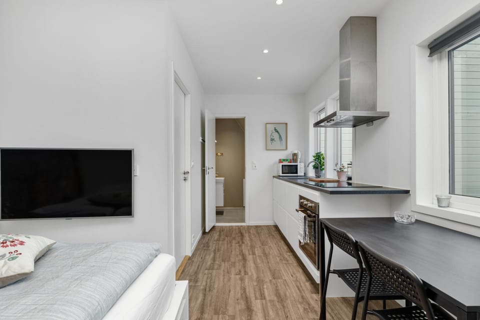 Central Studio Apartment Apt 102 Apartment in Stavanger
