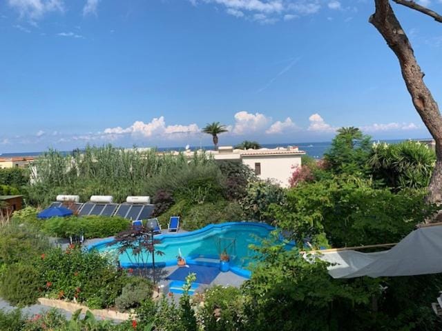 Pool view